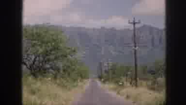 Hawaii USA (1959): Women Cow Petting Free Roaming Grounds Plumage Showing Desert