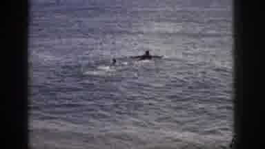 Hawaii USA (1959): Two People Swim Near Shore Followed By Two Women Studying A