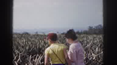 Hawaii USA (1959): Blurred Walk Hiking Across Countryside