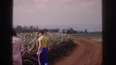 Hawaii USA (1959): 20th Century Farm