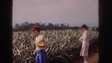 Hawaii USA (1959): Family Field Adventure