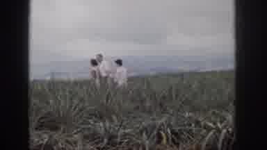 Hawaii USA (1959): Small Family Walking In Grassy Field Near Road