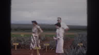 Hawaii USA (1959): People Looking At A Small Plant Farm On Side Of Road
