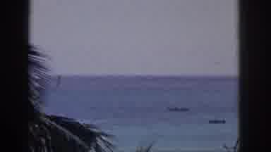 Hawaii USA (1959): A Family Looking Out Into The Blue Ocean
