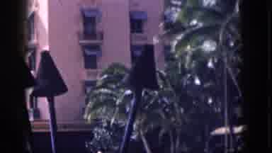 Hawaii USA (1959): Enjoying The Beautiful Palm Trees With Some Friends