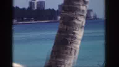 Hawaii USA (1959): Beach With Tree And Man With Swimmers And Boat