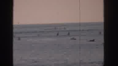 Hawaii USA (1959): Surfers In Their Planks Over The Sea