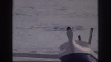 Hawaii USA (1959): Swimmer Attempting To Break Record
