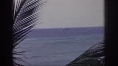 Hawaii USA (1959): Sail Boat On The Ocean With Palm Trees Blowing In The Wind