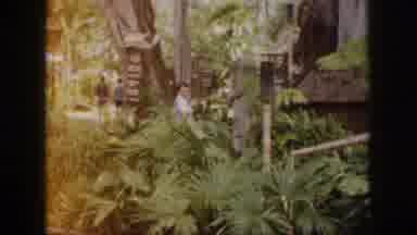 Hawaii USA (1959): Walking Through A Garden