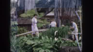 Hawaii USA (1959): People Walking On And Sightseeing On A Small Bridge