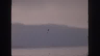 Hawaii USA (1959): Mountains Rising From A Body Of Water
