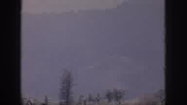 Hawaii USA (1959): Gray Mist Blue Filter Mountain Meets Ocean Tall Trees Shrubs