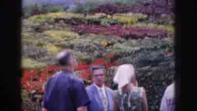 Hawaii USA (1959): Two Men Pointing To The Distance Standing Next To A Lady In A