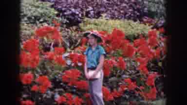 Hawaii USA (1959): The Person Takes Pictures In The Flower Garden
