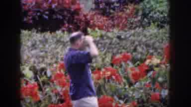 Hawaii USA (1959): Nature With Red Flowers Where A Radiant Day In Nature Is