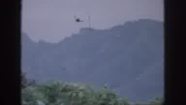 Hawaii USA (1959): The View Of Treetops Against A Mountain's Edge