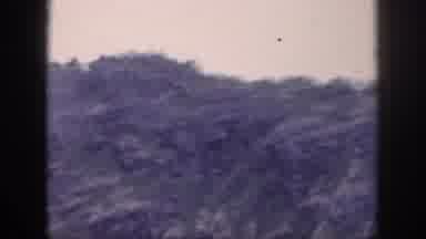 Hawaii USA (1959): Trees Covering Mountains