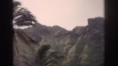 Hawaii USA (1959): Palm Trees Blow In The Gentle Wind