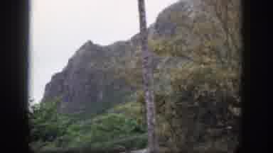Hawaii USA (1959): Trees Quiet Place Mountains Near Trees