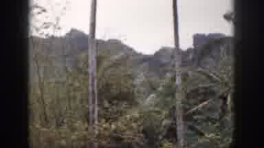 Hawaii USA (1959): Trees Blowing And Bending In The Wind Over A Mountainous