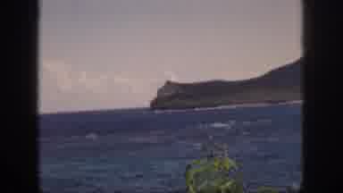 Oahu Hawaii USA (1959): Strong Wind Creating Waves And Blowing Trees Off The