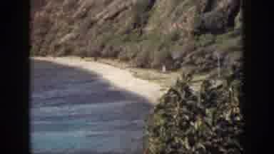 Oahu Hawaii USA (1959): There Are Water And Sand On A Island Big Tall Trees