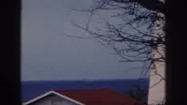 Oahu Hawaii USA (1959): Tree Branches Near Red Roof Swaying In The Seaside Breeze