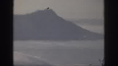 Oahu Hawaii USA (1959): Someone Recording A Grassy Hill