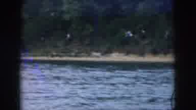 Grand Rapids Michigan USA (1961): Water Skiing Animals Trees Green White Shorts