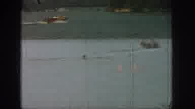 Michigan USA (1961): Some People Are Helping One Person Who Is Drowning In Water