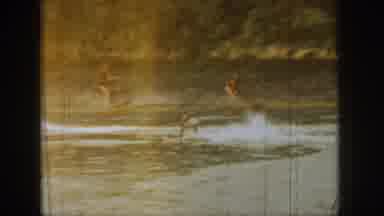 Michigan USA (1961): A Man Surfing, And When He Falls Into The Water, Goes