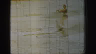 Michigan USA (1961): A Woman Rides A Jetski At Top Speeds In A Gorgeous Lake
