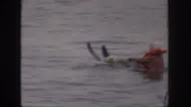 Michigan USA (1961): Man Tries To Water Ski, Woman Water Skiing Behind Boat