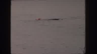 Michigan USA (1961): Vintage Waterskiing Attempt At Local Lake