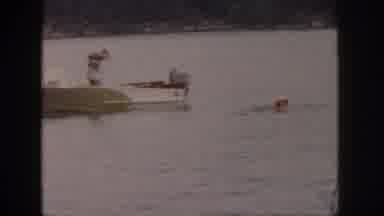 Michigan USA (1961): Swimming Off The Boat In The Middle Of The Lake