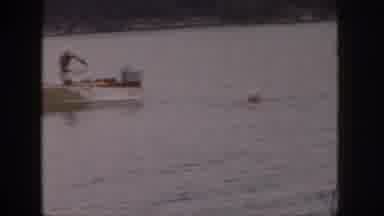 Michigan USA (1961): Boat Sailor Has Trouble Setting Boat And Falls In Water