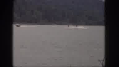 Michigan USA (1961): Double Skiers Being Pulled Behind A Boat On A Lake With A