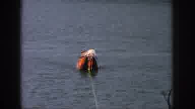Michigan USA (1961): Dad Teaching Daughter How To Water Ski, But Failing To Get Up