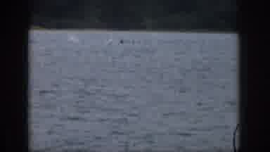 Michigan USA (1961): A Person In The Water And A Person Water Skiing