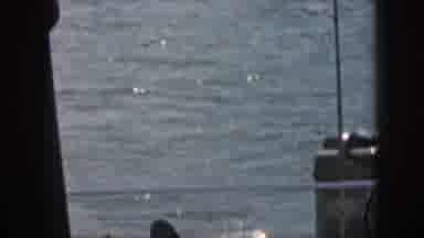 Michigan USA (1961): A Fun Day Waterskiing