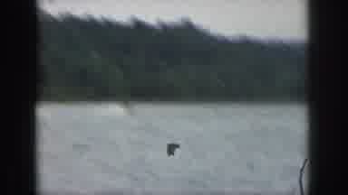 Michigan USA (1961): Man Water Skiing In The Sea While On Holiday