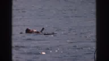 Michigan USA (1961): Adult Using Life Jacket In A Sea Surrounding Water Holding