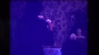Medford New Jersey USA (1973): A Man In A Fancy Suit Takes A Drink Of Something I