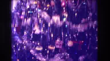 Medford New Jersey USA (1973): Christmas Tree Blinking With Kitten Walking By