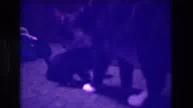 Medford New Jersey USA (1973): Momma Cat Licking One Of Her Baby Kittens While