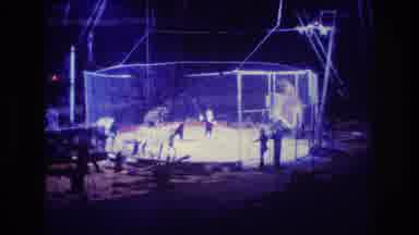 Boston USA (1974): Lion Tamer Act In A Cage At An Indoors Circus