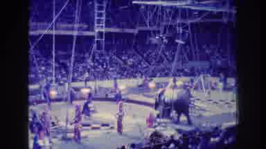 Boston USA (1974): Elephants Performing At The Circus