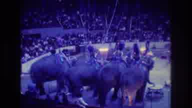 Boston USA (1974): A Group Of People Ride Into A Circus On The Backs Of Elephants