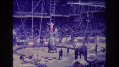 Boston USA (1974): Elephants In Circus